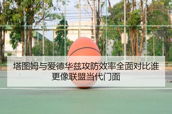塔图姆与爱德华兹攻防效率全面对比谁更像联盟当代门面