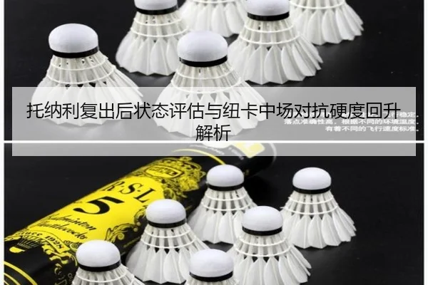 托纳利复出后状态评估与纽卡中场对抗硬度回升解析